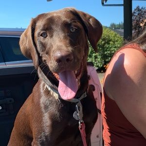 Meet your Posher, Jessica